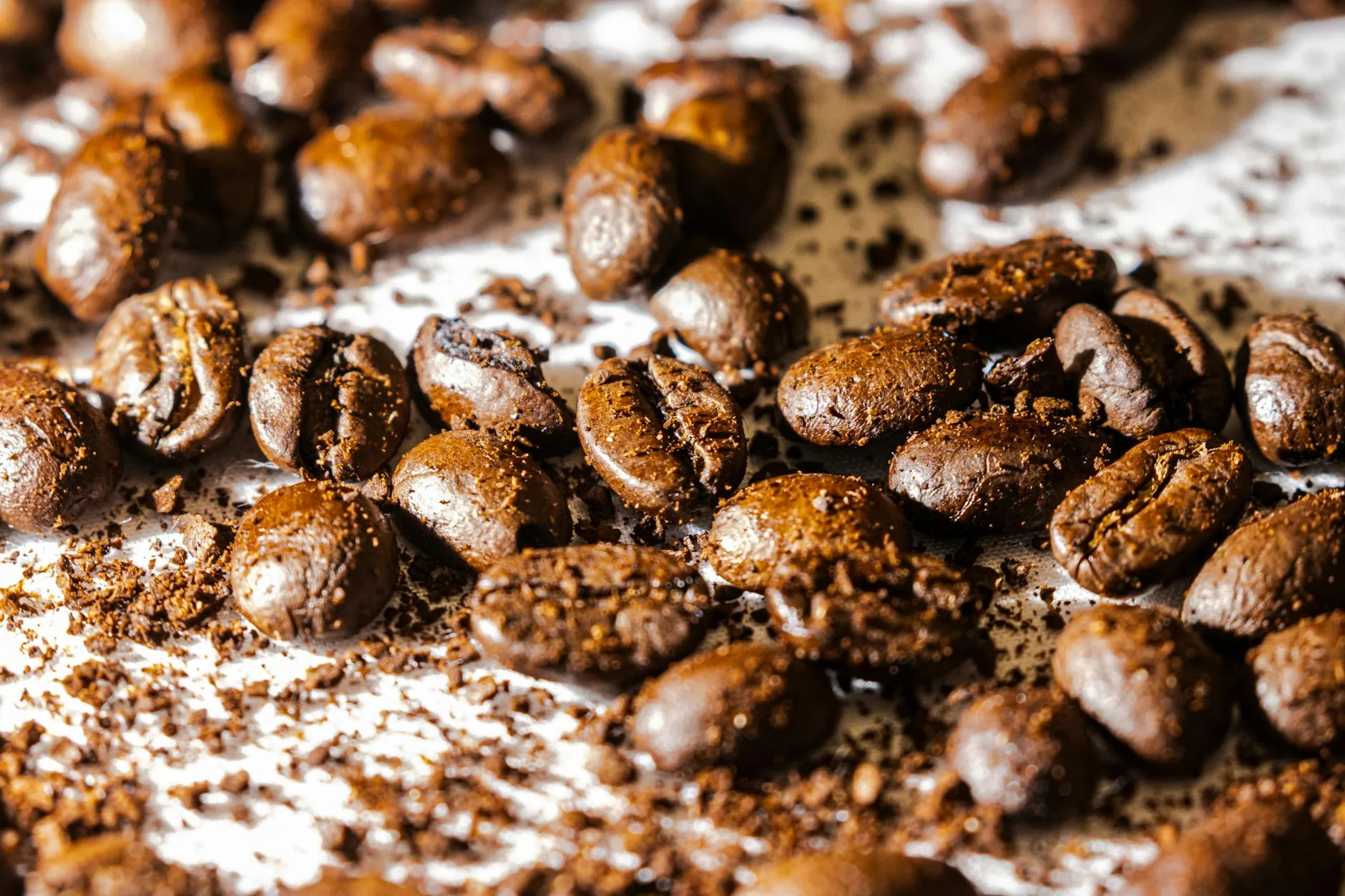 Different coffee grind sizes from coarse to fine