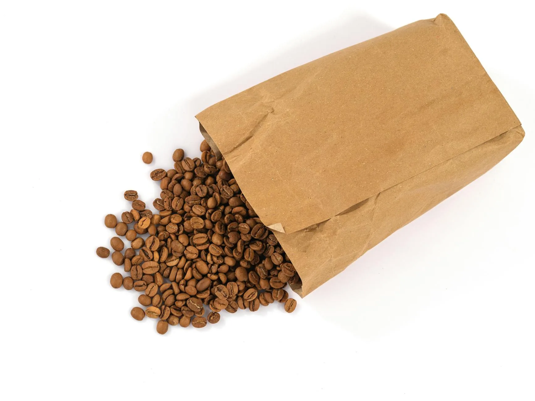 Freshly roasted coffee beans from ethical sources
