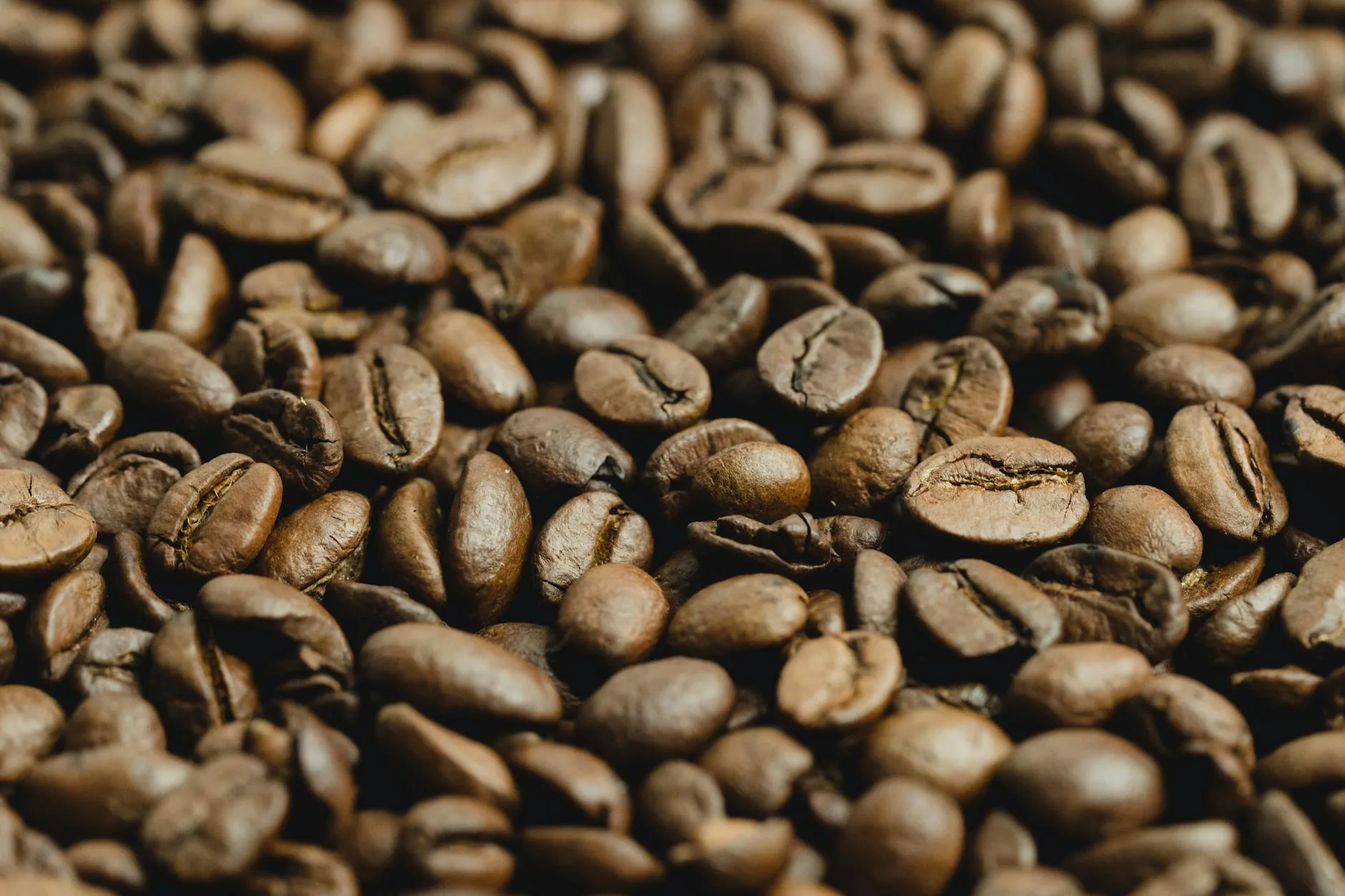 Freshly roasted coffee beans ready for grinding