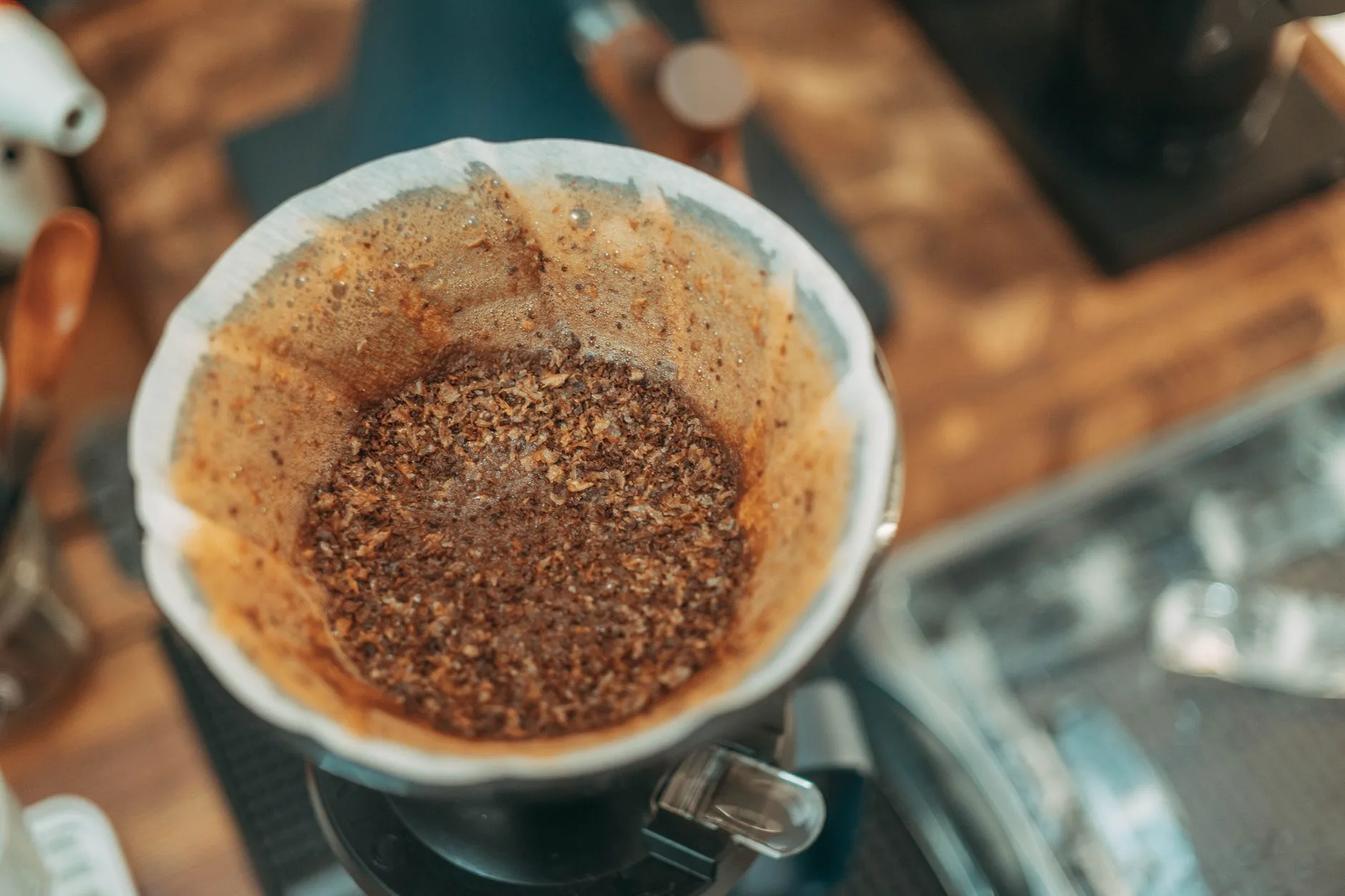 Coffee grounds blooming in a Chemex paper filter