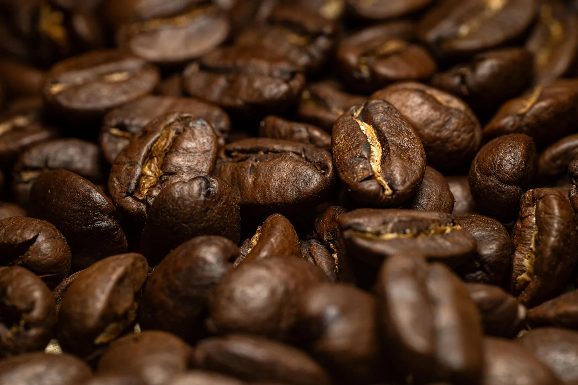 Whole roasted coffee beans showing roast colour for espresso and filter